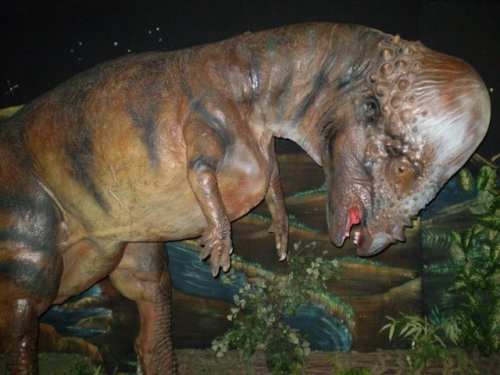 музей динозавров